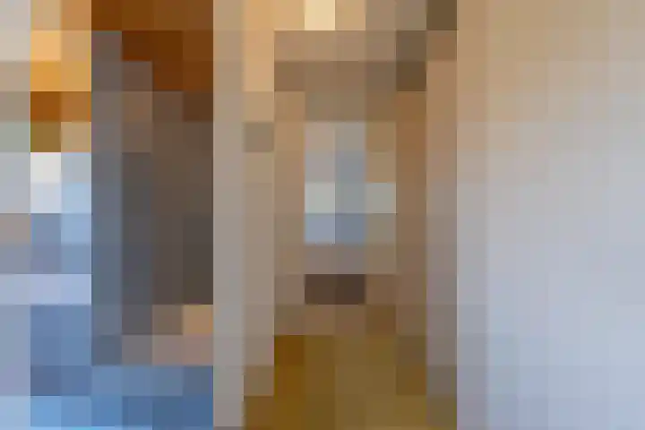 Schepenstraat 10 Dreumel thumbnail 40