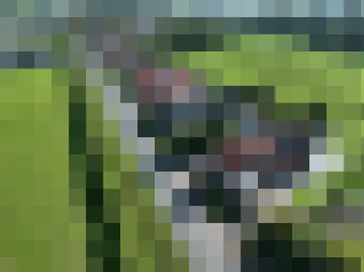 Schepenstraat 10 Dreumel thumbnail 49