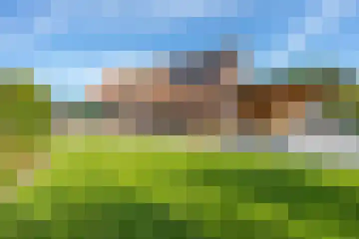 Schepenstraat 10 Dreumel thumbnail 5