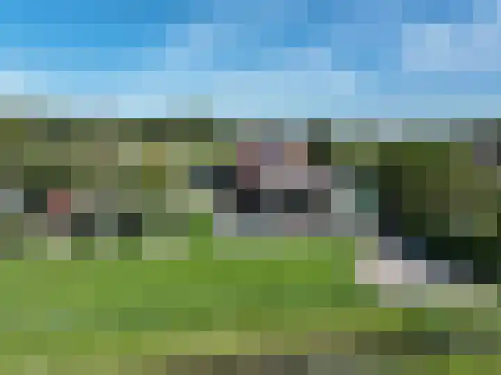 Schepenstraat 10 Dreumel thumbnail 50