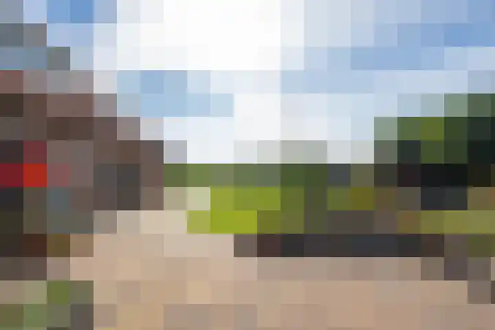 Schepenstraat 10 Dreumel thumbnail 51