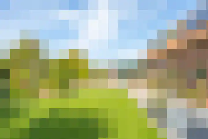 Schepenstraat 10 Dreumel thumbnail 52