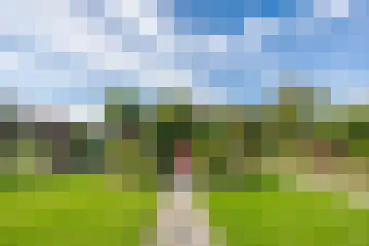 Schepenstraat 10 Dreumel thumbnail 53