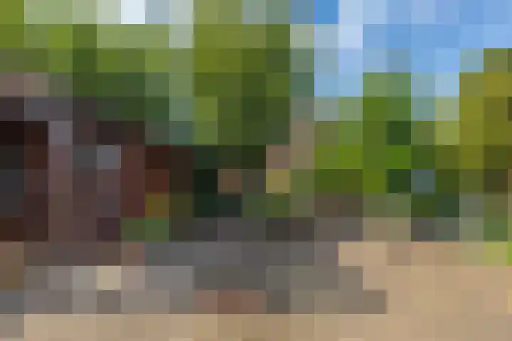 Schepenstraat 10 Dreumel thumbnail 54