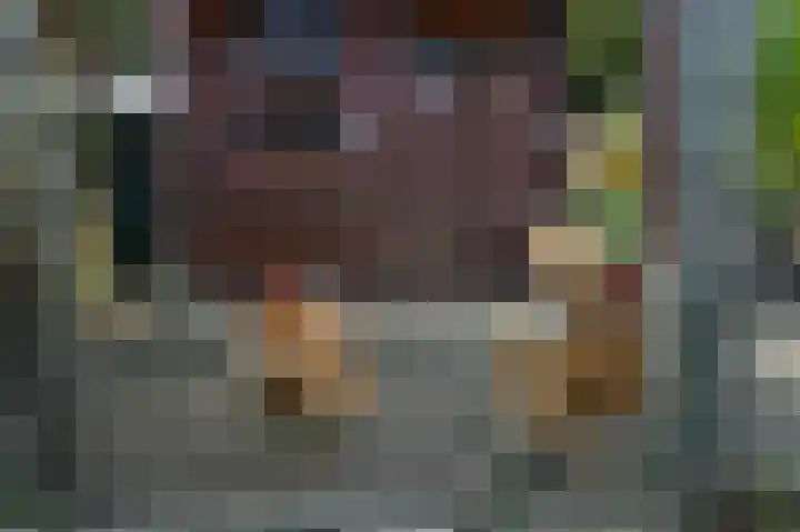 Schepenstraat 10 Dreumel thumbnail 55