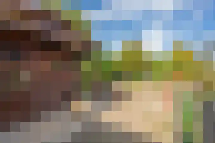 Schepenstraat 10 Dreumel thumbnail 56