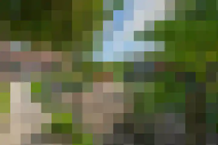 Schepenstraat 10 Dreumel thumbnail 57