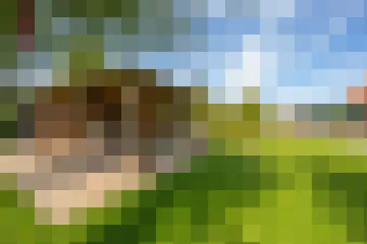 Schepenstraat 10 Dreumel thumbnail 58