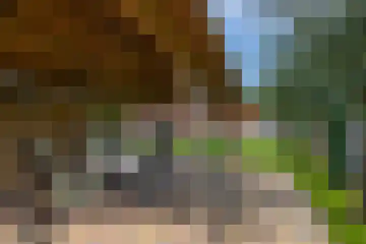 Schepenstraat 10 Dreumel thumbnail 59