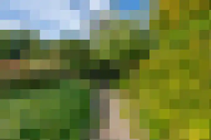 Schepenstraat 10 Dreumel thumbnail 61