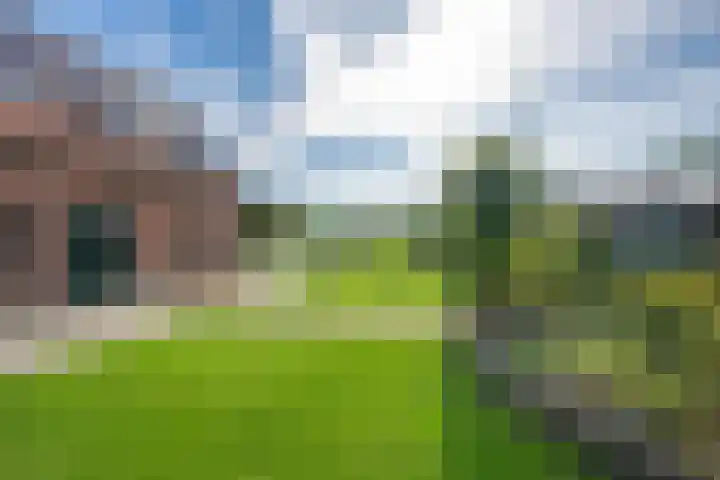 Schepenstraat 10 Dreumel thumbnail 62