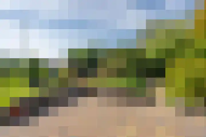 Schepenstraat 10 Dreumel thumbnail 64
