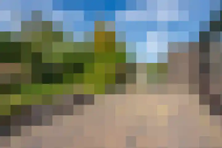 Schepenstraat 10 Dreumel thumbnail 65