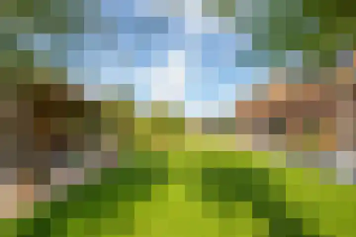Schepenstraat 10 Dreumel thumbnail 67