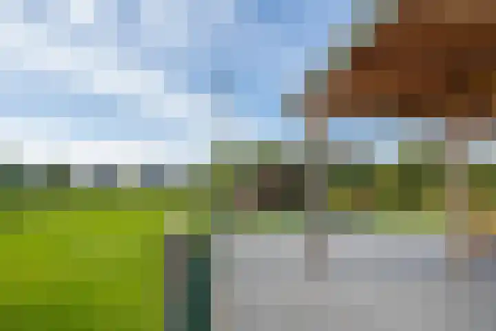Schepenstraat 10 Dreumel thumbnail 69