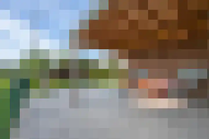 Schepenstraat 10 Dreumel thumbnail 70