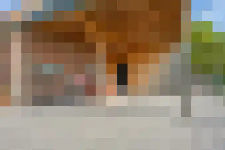 Schepenstraat 10 Dreumel thumbnail 71