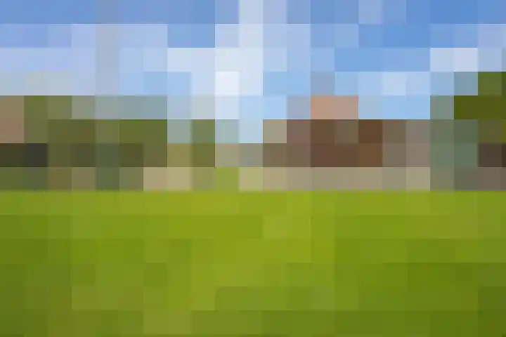Schepenstraat 10 Dreumel thumbnail 72