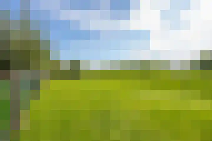 Schepenstraat 10 Dreumel thumbnail 73