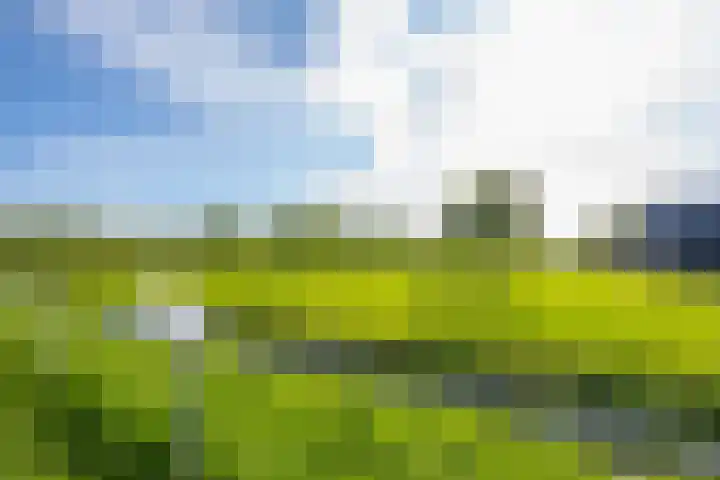 Schepenstraat 10 Dreumel thumbnail 74