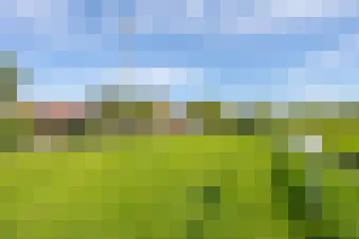 Schepenstraat 10 Dreumel thumbnail 75