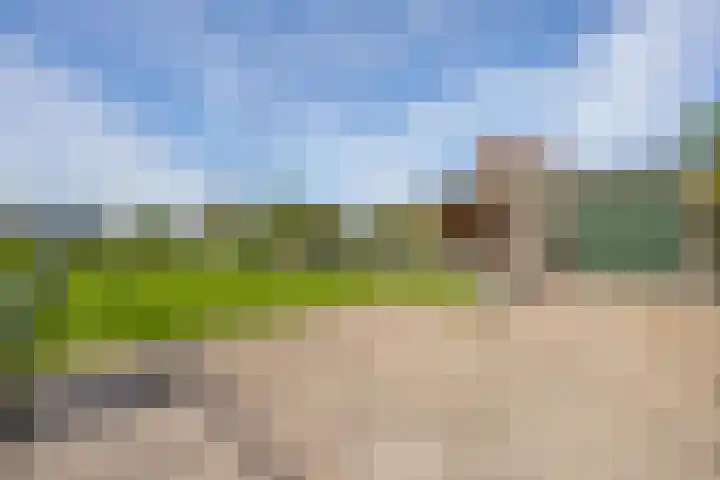 Schepenstraat 10 Dreumel thumbnail 76