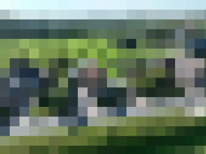 Schepenstraat 10 Dreumel thumbnail 77