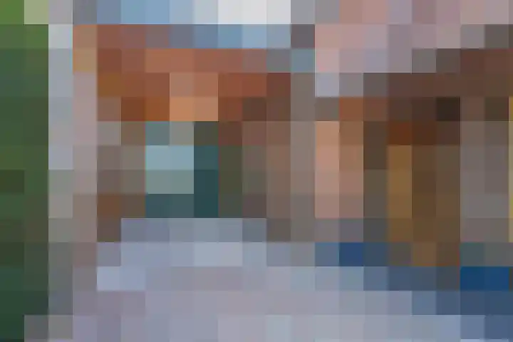 Schepenstraat 10 Dreumel thumbnail 79