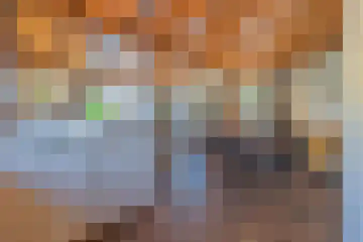 Schepenstraat 10 Dreumel thumbnail 8