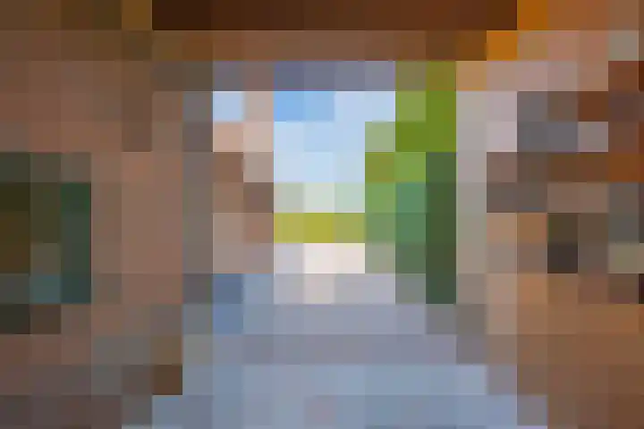 Schepenstraat 10 Dreumel thumbnail 80