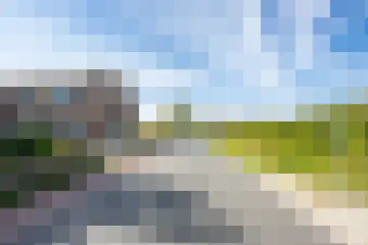 Schepenstraat 10 Dreumel thumbnail 82