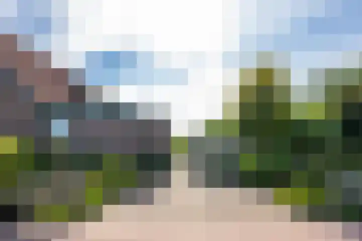 Schepenstraat 10 Dreumel thumbnail 83