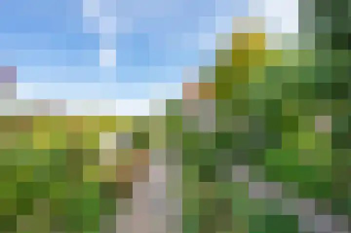 Schepenstraat 10 Dreumel thumbnail 84