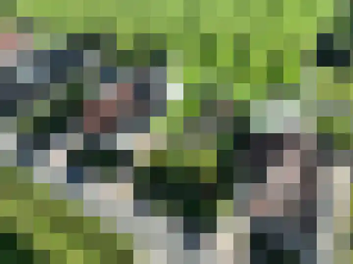 Schepenstraat 10 Dreumel thumbnail 88