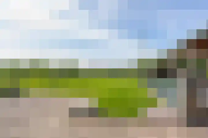Schepenstraat 10 Dreumel thumbnail 89