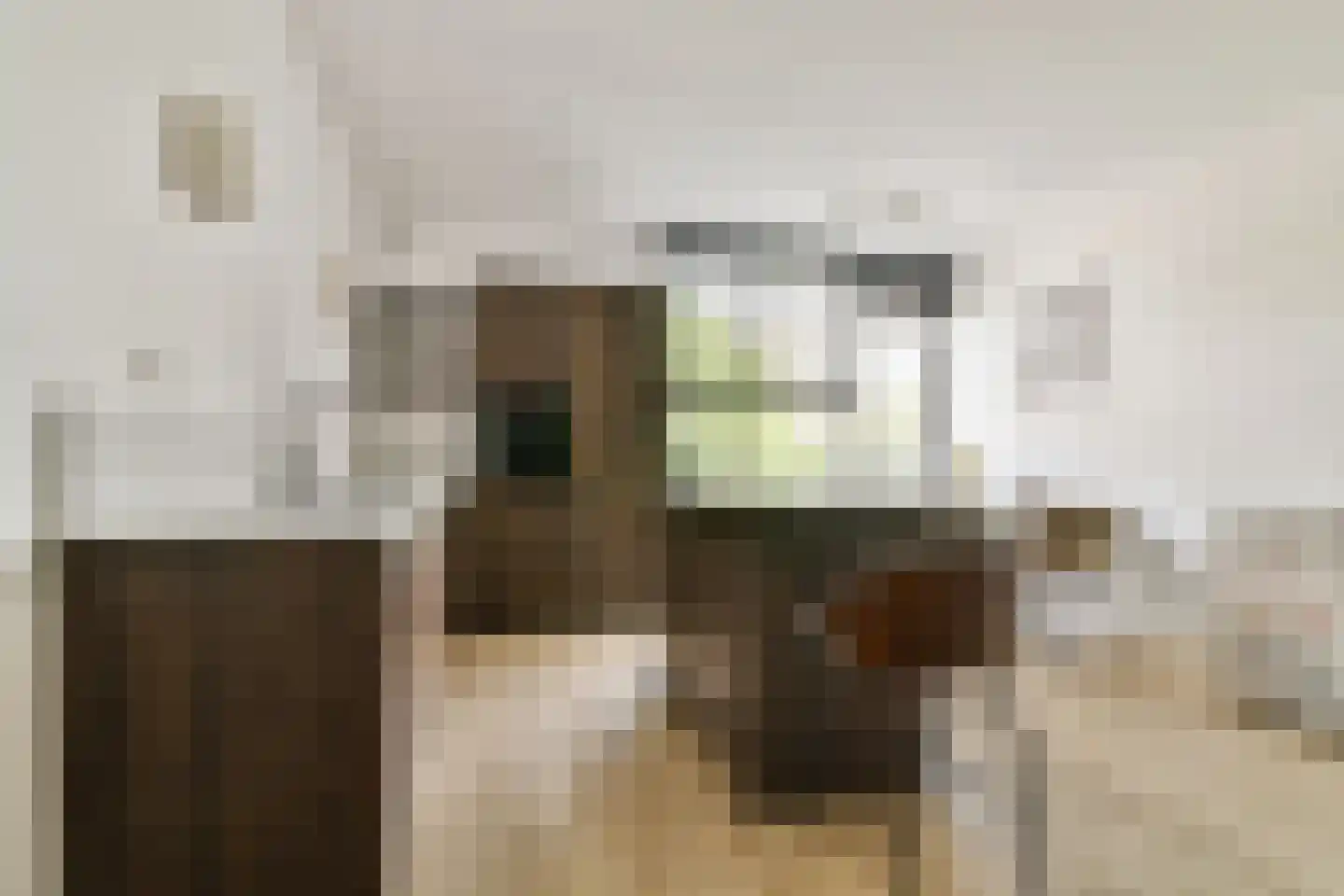 Schepenstraat 10 Vlaardingen thumbnail 13