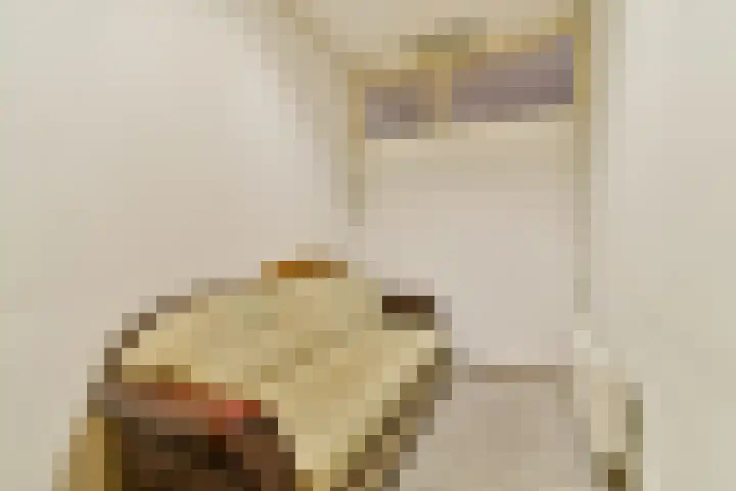Schepenstraat 10 Vlaardingen thumbnail 41
