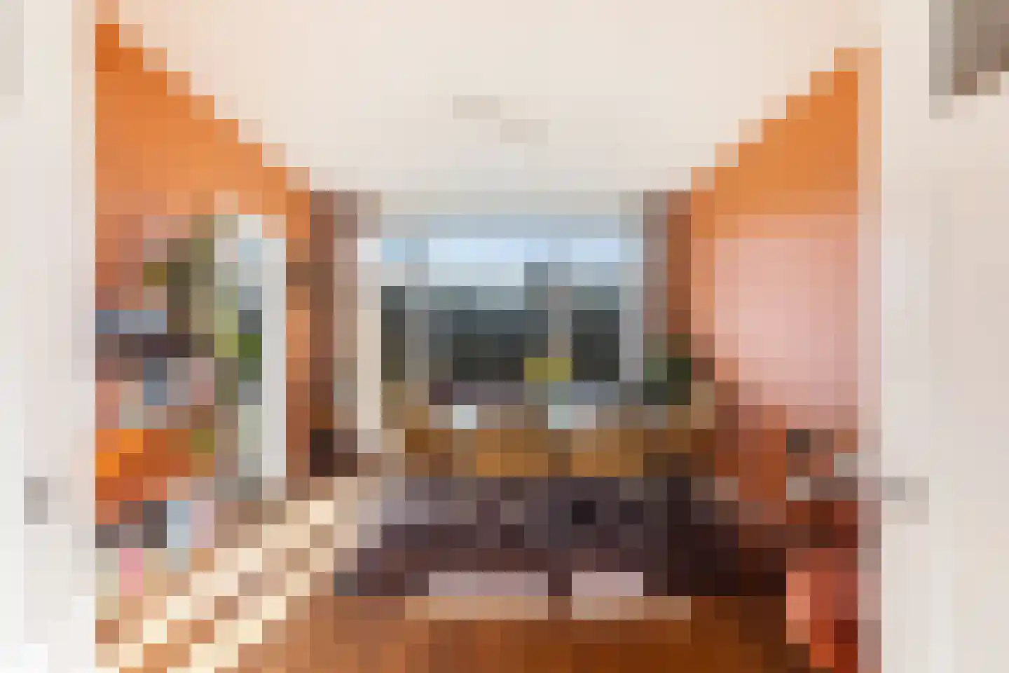 Schepenstraat 108 C Rotterdam thumbnail 12