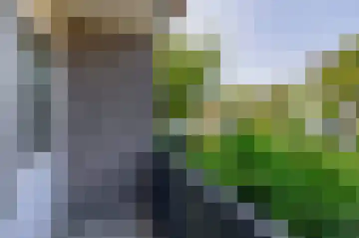 Schepenstraat 11 b Krimpen aan den IJssel thumbnail 22