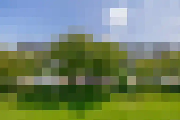 Schepenstraat 11 b Krimpen aan den IJssel thumbnail 8