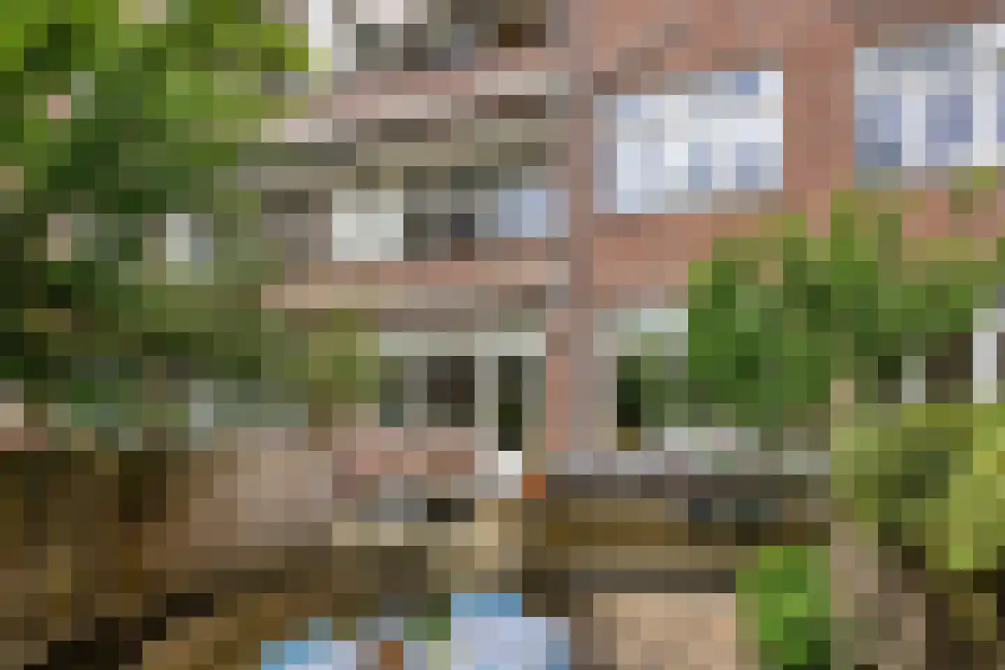 Schepenstraat 118 C Rotterdam thumbnail 21