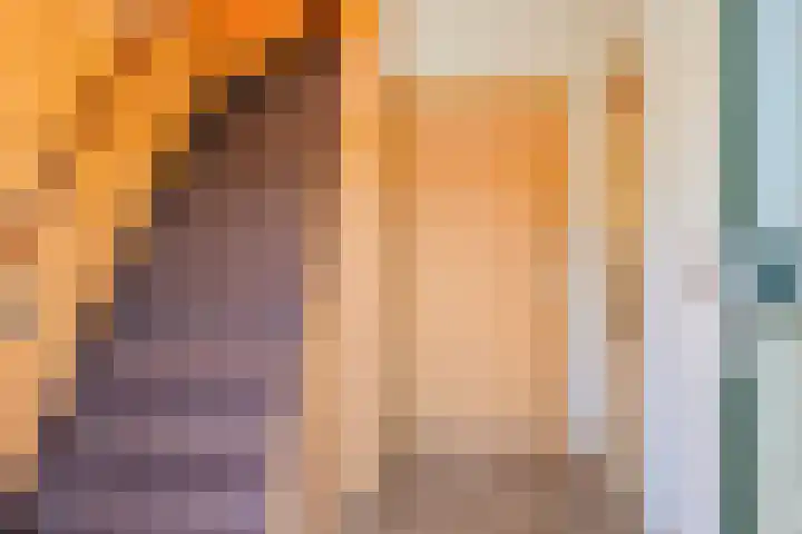 Schepenstraat 12 Krimpen aan de Lek thumbnail 12