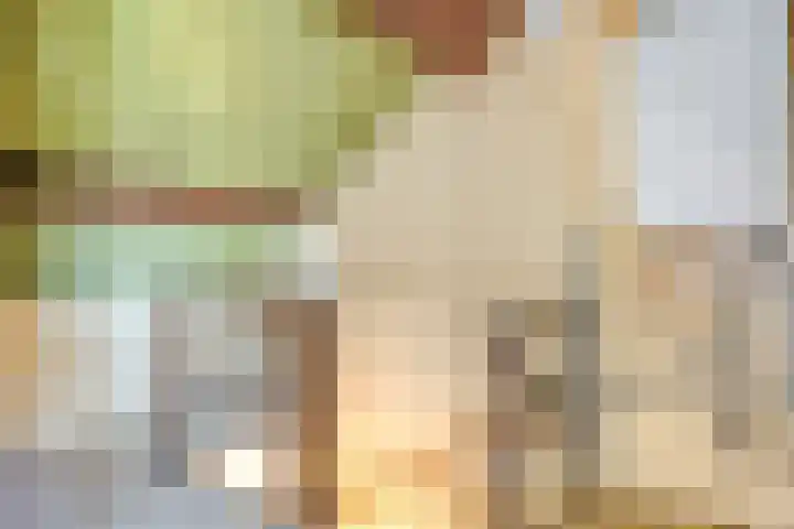 Schepenstraat 12 Krimpen aan de Lek thumbnail 23