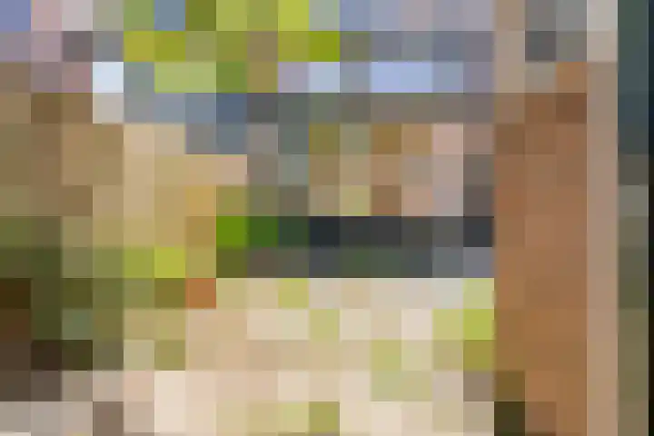Schepenstraat 12 Krimpen aan de Lek thumbnail 27