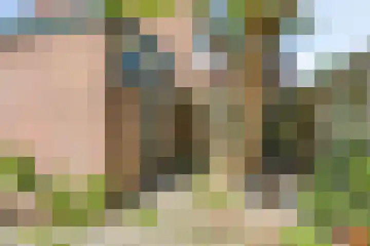 Schepenstraat 12 Krimpen aan de Lek thumbnail 30