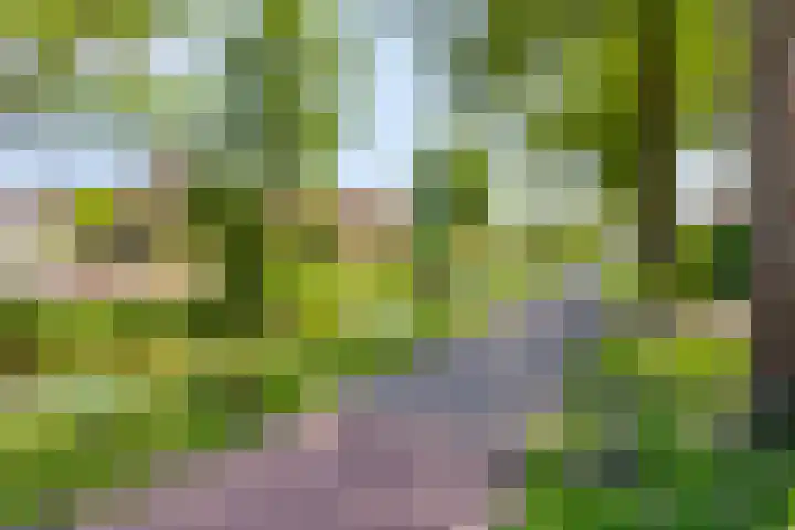 Schepenstraat 12 Krimpen aan de Lek thumbnail 33