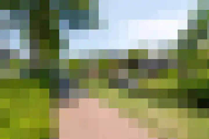 Schepenstraat 12 Krimpen aan de Lek thumbnail 34