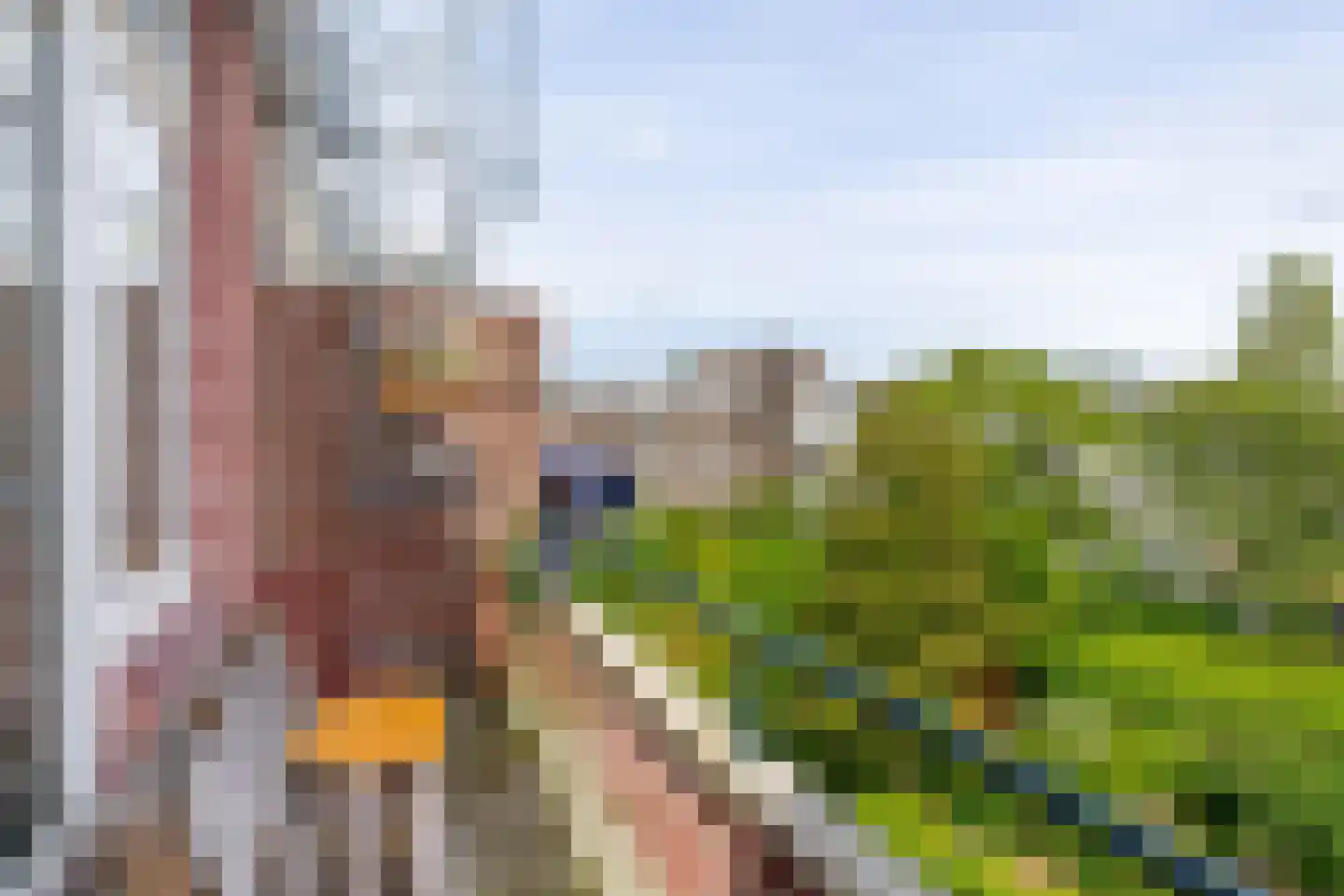 Schepenstraat 120 A Rotterdam thumbnail 16