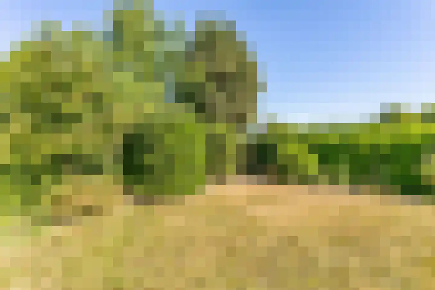 Schepenstraat 2 B Brunssum thumbnail 33