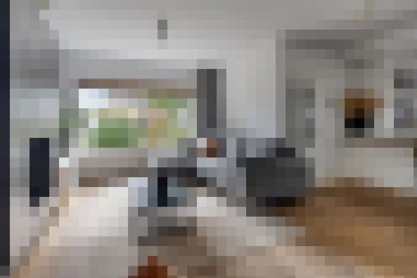 Schepenstraat 2 's-Hertogenbosch thumbnail 10